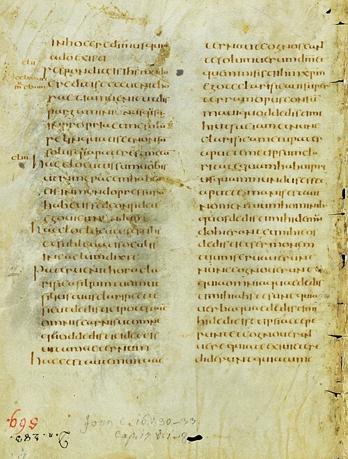 Codex Sangallensis 1395, Vulgate Gospels, John 16:30–17:8, 5th or 6th century. Stiftsbibliothek St. Gallen