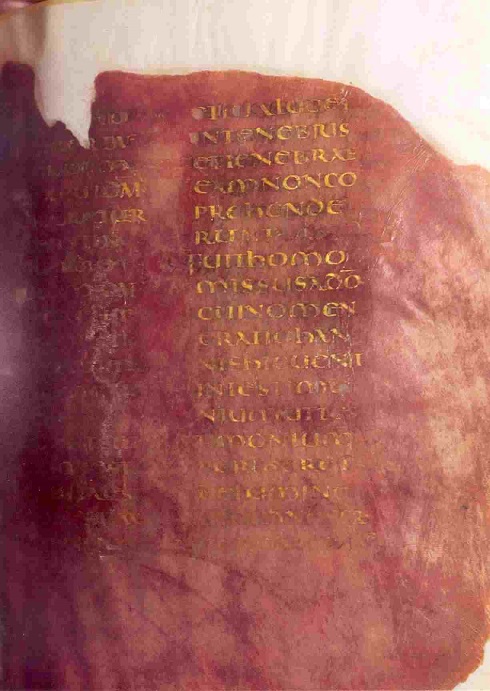 Codex Veronensis, a purple leaf written in silver and gold. Biblioteca Capitolare, Verona, via Wikimedia Commons